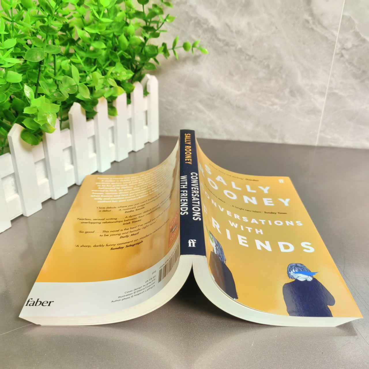 Conversations with Friends Sally Rooney