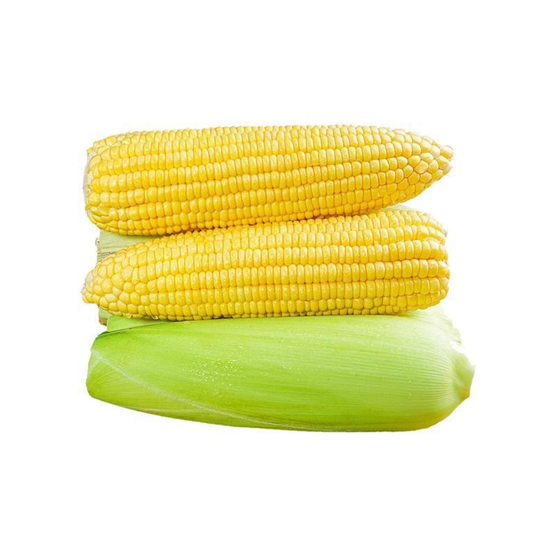 Yunnan fruit sweet corn fresh fruit corn postage corn cob corn corn now pick hair a generation
