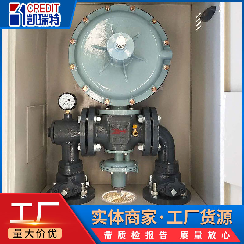 Wall-Mounted Building Pressure Regulating Box R Gas Pipeline Remediation Pressure Regulating Box Community Gas Pressure Regulating Box