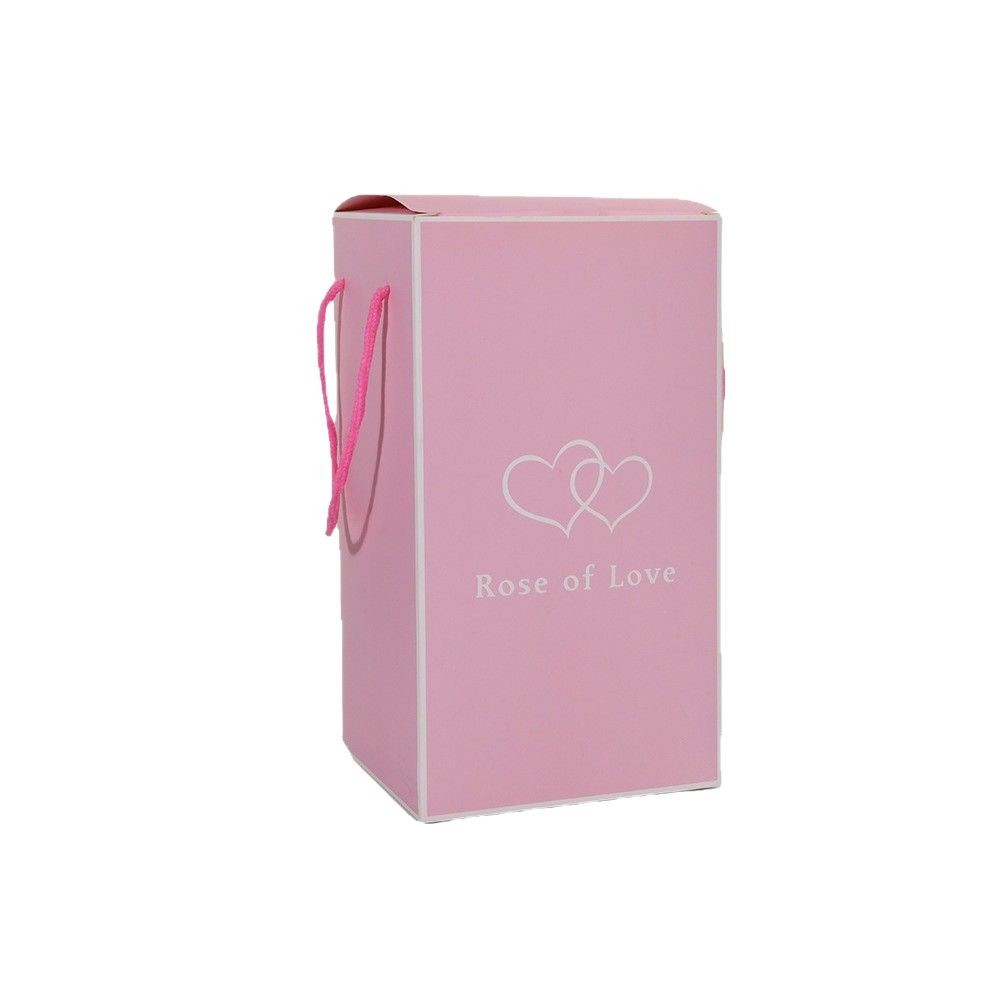 Foreign Trade Dustproof Glass Cover Manufacturer DIY Decorative Desktop Ornaments Transparent Micro Landscape Plastic Cover Immortal Flower Wholesale