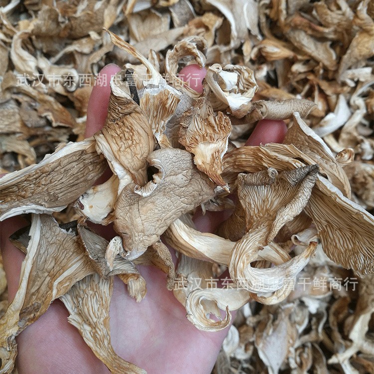 Оптовая продажа сушеных вешенок 500г, сушеные съедобные грибы, оптовая упаковка