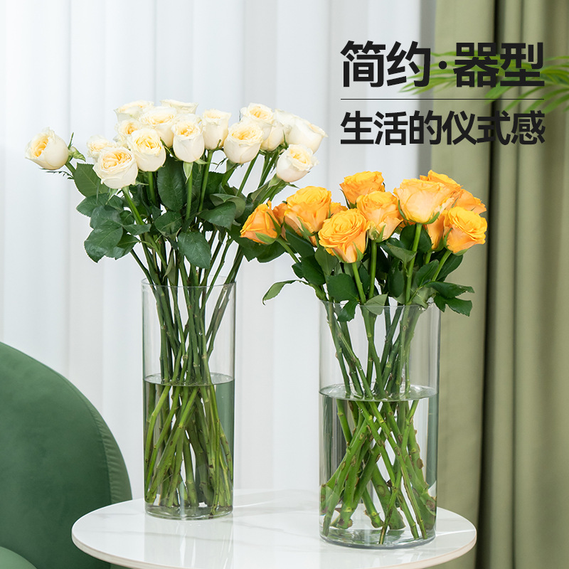 Plastic Transparent Vase Cross-border High-permeability Imitation Glass Flower Bucket Florist Awakening Flower Bucket Hydroponic Vase Aqua Plants