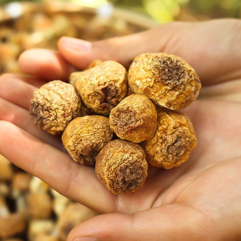 [Net Weight] [No Desiccant] Yunnan Agaricus blazei wholesale Tricholoma matsutake dried goods smoked sulfur-free Brazilian mushroom soup