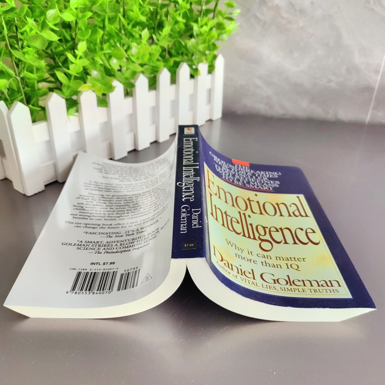 Emotional Intelligence English Version Daniel Golman Emotional Intelligence