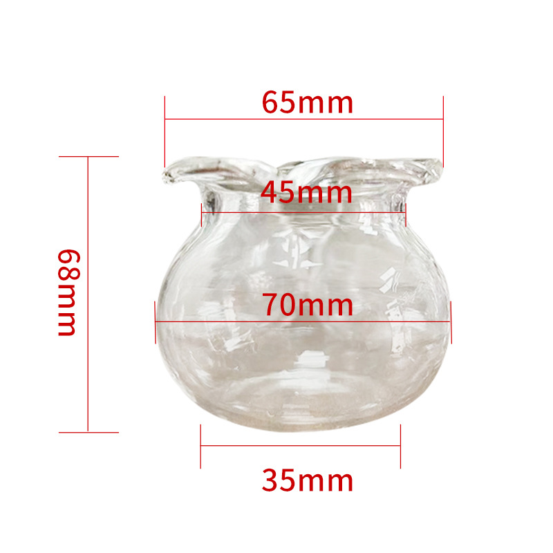 Creative Hydroponic Flower Vessel Pothos Lace Ecological Transparent Glass Goldfish Tank Turtle Tank Small Living Room Desktop Fish Tank