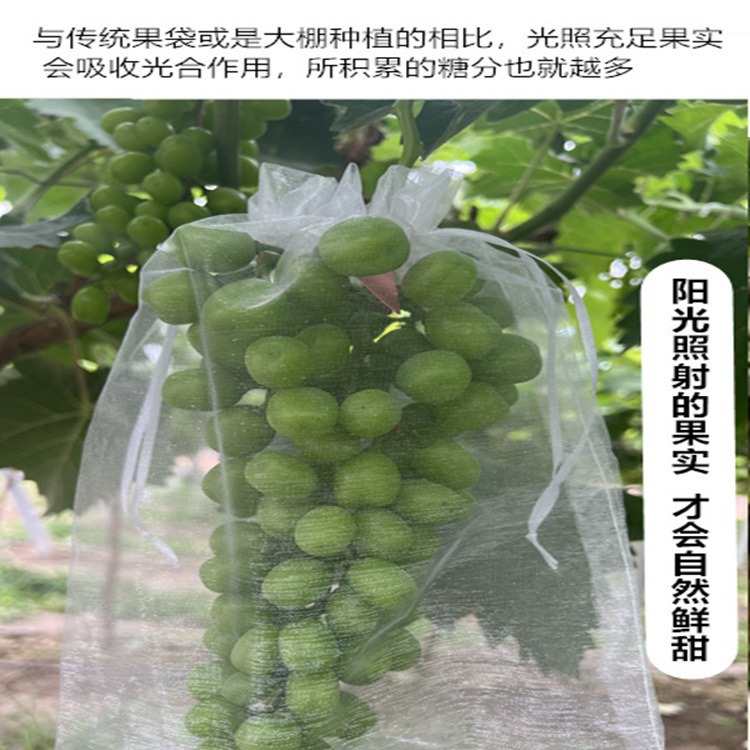 Fruit tree bagging insect-proof and bird-proof bag strawberry fig pomegranate grape tomato fruit protection special gauze mesh cover