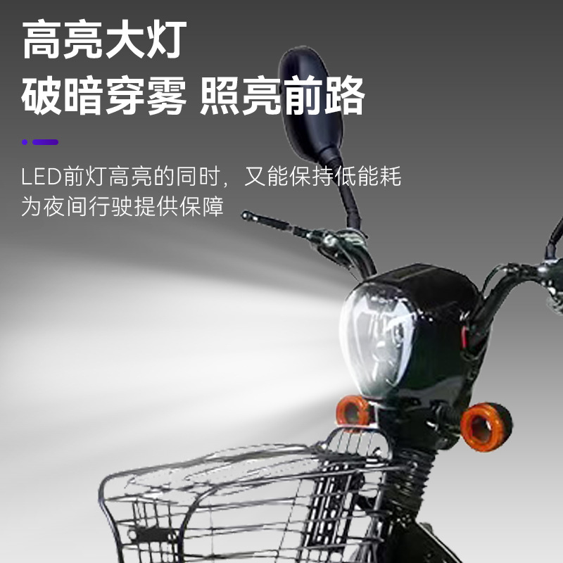 Cross-Border Golden Eagle Electric Vehicle Foreign Trade High-Power Battery Vehicle Long-Range Adult Two-Wheeled Electric Vehicle Electric Bicycle Available for Export