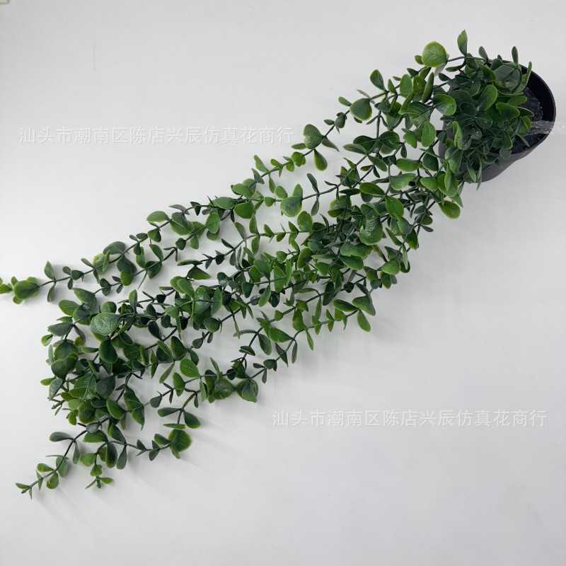 Cross-Border Amazon Artificial Artificial Flowers and Green Plants Mandala Eucalyptus Bonsai Pea Pod Hanging Potted Plants