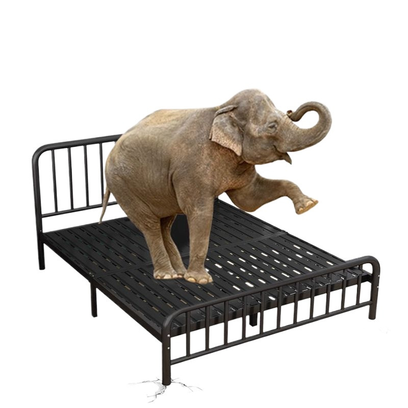 European-Style Wrought Iron Bed 1.8m Double Bed for Home Rental 1m Economical Reinforced Thickened 1.5 Children's Single Bed