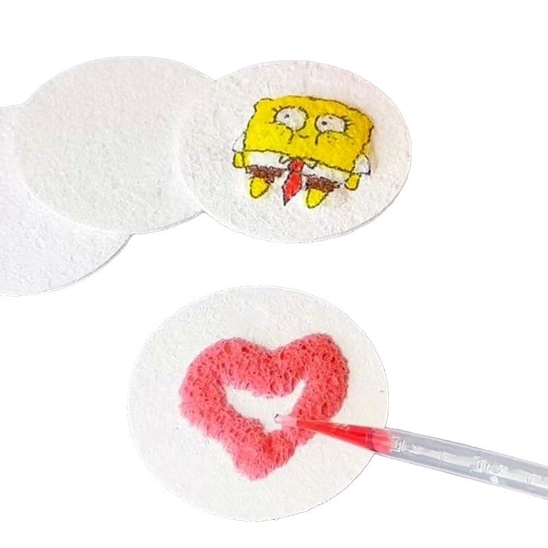 Cross-Border 3D Wood Pulp Cotton Texture Painting Environmentally Friendly Degradable Material DIY Handmade Painting Compressed Expanded Wood Pulp Sponge