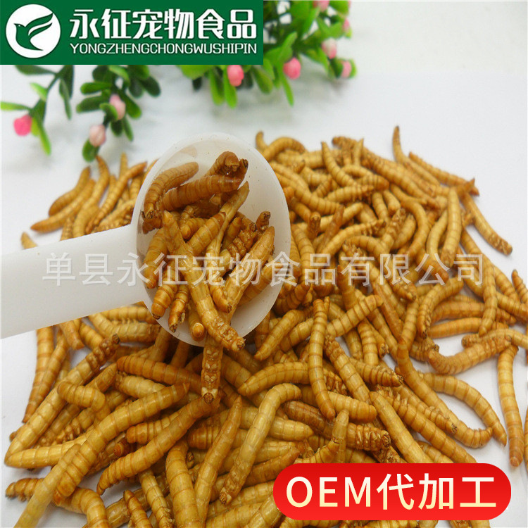 Производитель Ёнчжэн, сушеные личинки мучного червя, желтые сушеные личинки, закуски для беременных хомяков, корм для декоративных рыб, высокое содержание белка