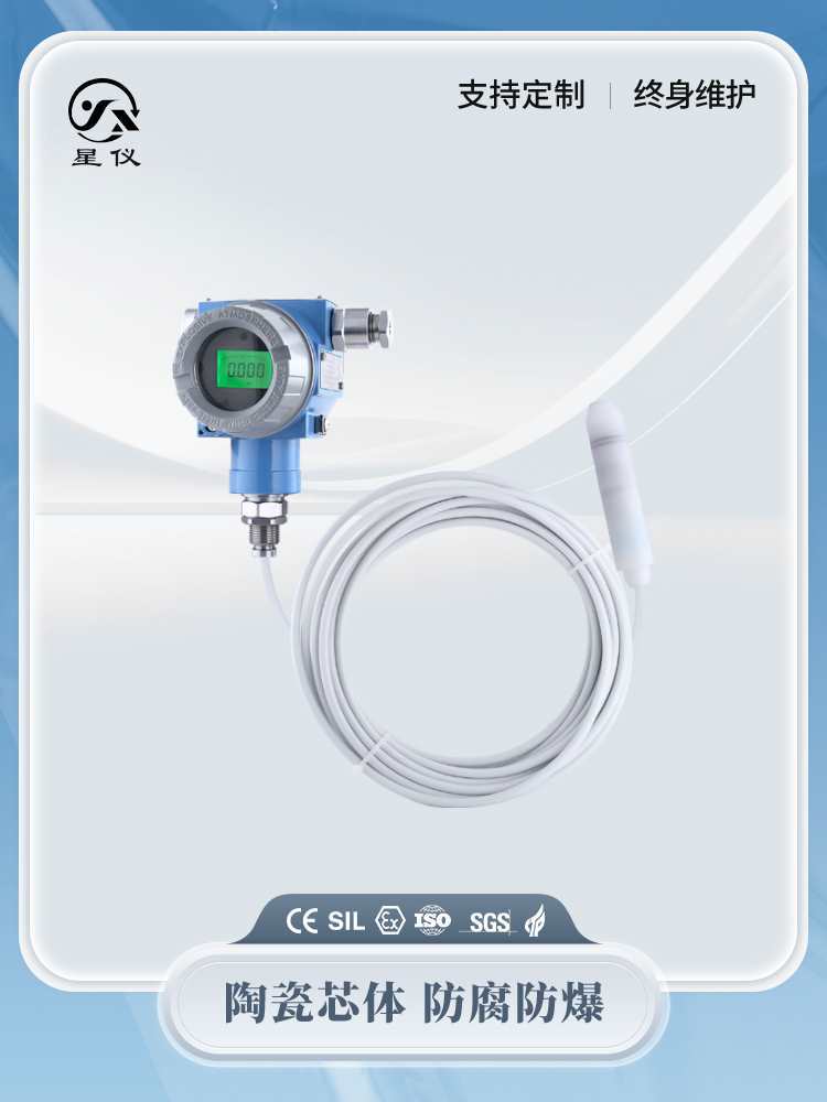 Cyw71C антикоррозийный подводный уровень передатчика Ptfe керамическое тело цифровой датчик уровня