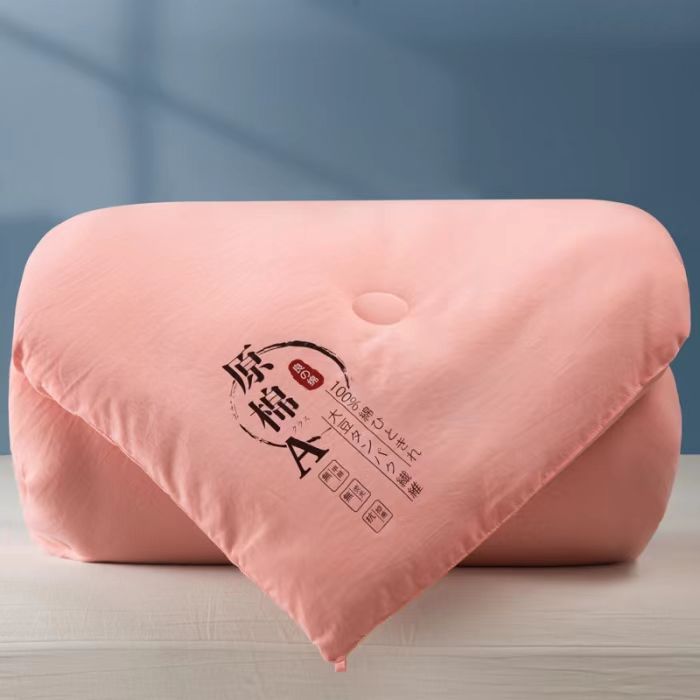 Raw Cotton Soybean Quilt Core Cotton Quilt Gift Quilt Gift Box Winter Quilt Spring and Autumn Quilt Promotional Event Quilt Manufacturer