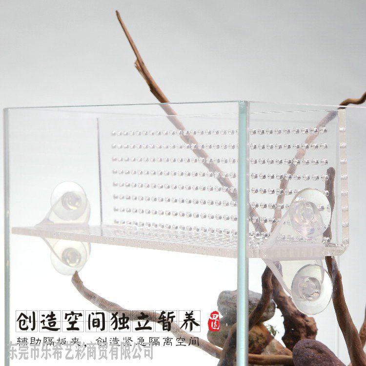 Pastoral Walk Partition Clip Fish Tank Glass Suction Cup Clip Partition Board Clip Fixed Clip Rohan Fish Isolation Board Clip