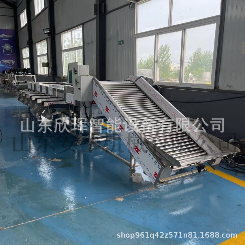 Commercial Apricot Grader, Fruit and Vegetable Sorting Machine, Large Stainless Steel Fully Automatic Roller Sorting Machine Equipment