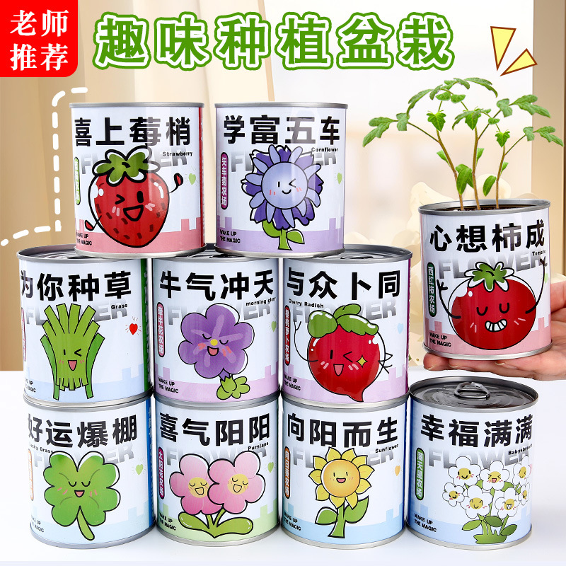 Интернет-знаменитая слепая коробка для растений, детские растения, помидоры, мята, настольное зеленое растение, запись роста