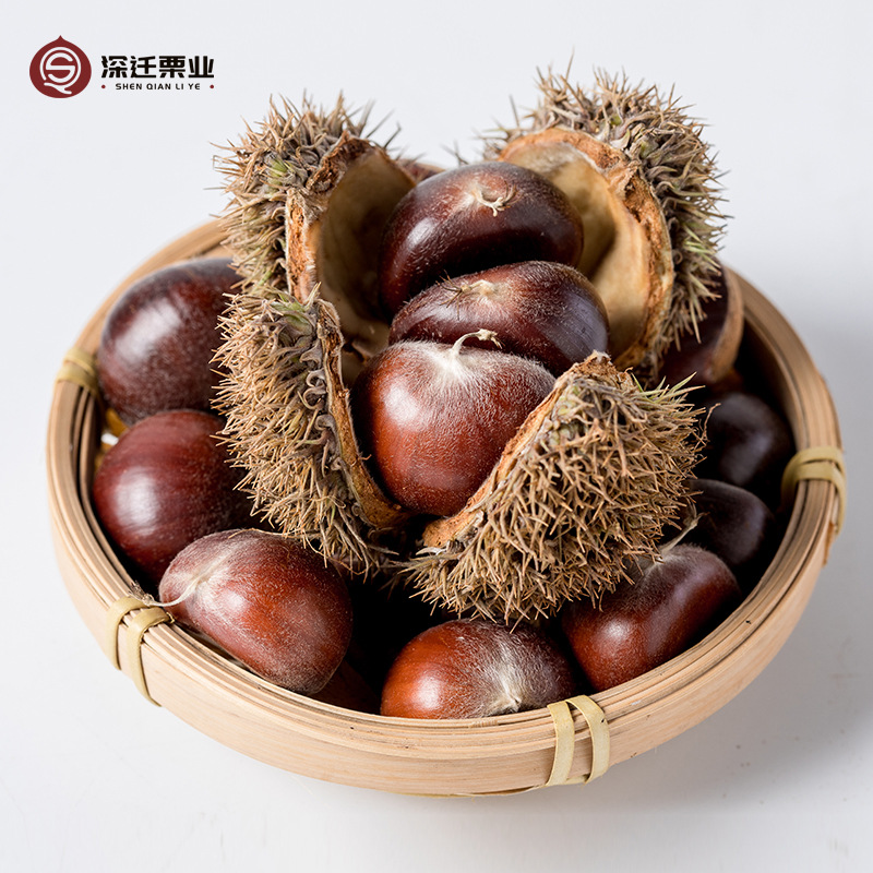 2025 Authentic Qianxi Chestnuts 50kg Wholesale Hebei 313 Chestnuts Fresh Raw Oil Chestnuts Candied Roasted 3113 Chestnuts