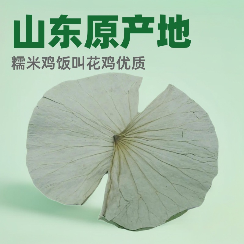 Оптовая продажа сушеных лотосовых листьев, новинка на рынке, оригинал из Шаньдуна, используется для приготовления курицы с клейким рисом, курицы в глиняном горшке и блюд с лотосовыми листьями