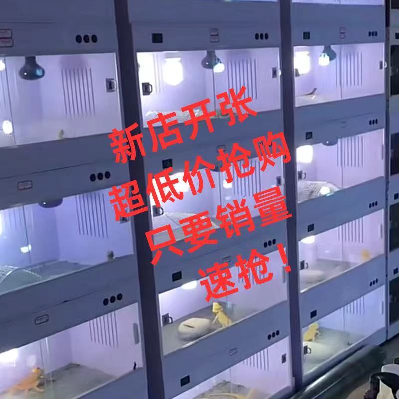Pvc Insulated Breeding Box, Intelligent Temperature-Controlled Climbing Box, Ruddin Chicken, Bearded Dragon Parrot, Chick育雏, Cat, Dog, Turtle