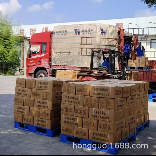 Pomegranate Concentrate Juice, Free Shipping from the Manufacturer, Nfc Pomegranate Original Juice, Fruit and Vegetable Juice Drink, Ice Cream, Milk Tea, Red Fruit Concentrate Juice