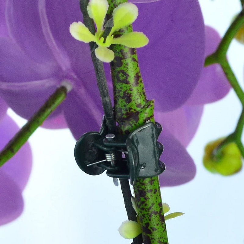 Garden Plant Clip Vegetable Greenhouse Fixing Clip Phalaenopsis Plastic Binding Vine Clip Plant Clip Vine Flower Fixing Special
