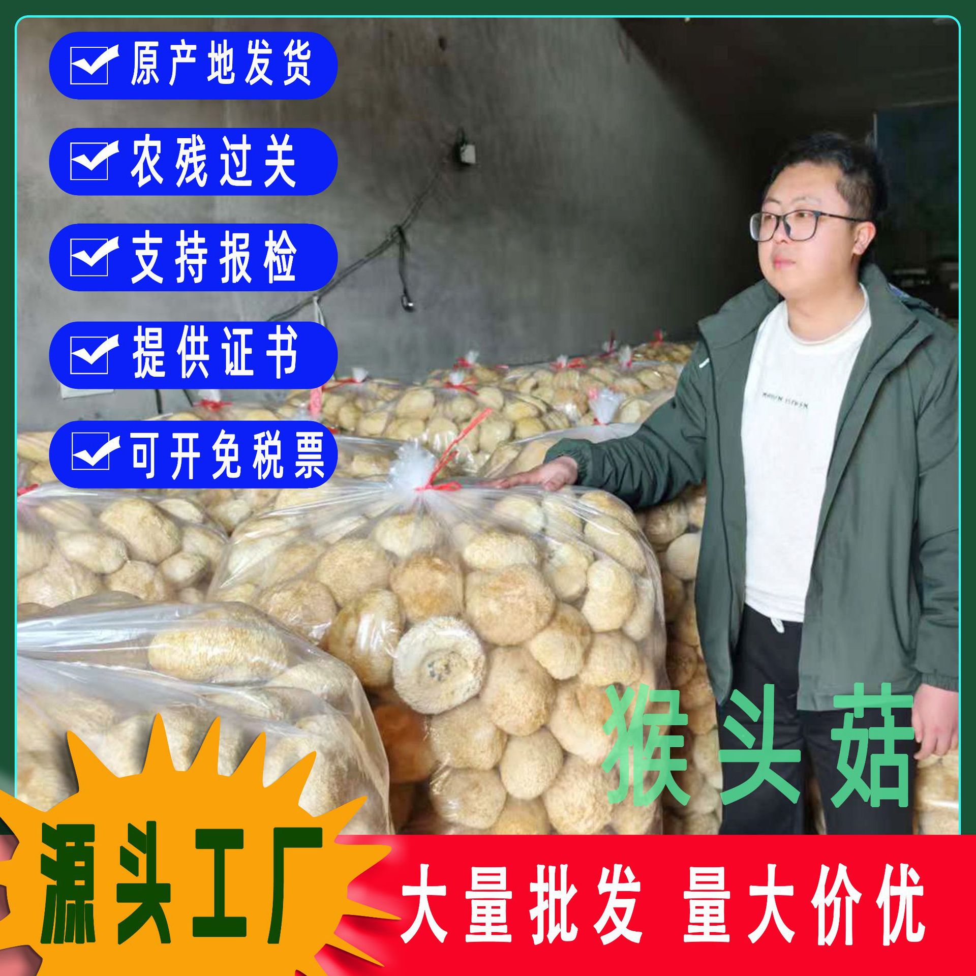 Сушеный порошок гриба Hericium erinaceus, сырье для грибов Львиного гребня, без серы, оптовая продажа