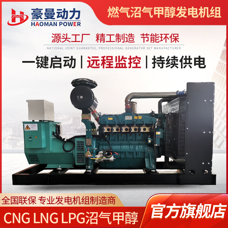 Natural Gas Generator Set 150Kw Methanol Generator 120Kw Biogas Generator Set for Pig Farm