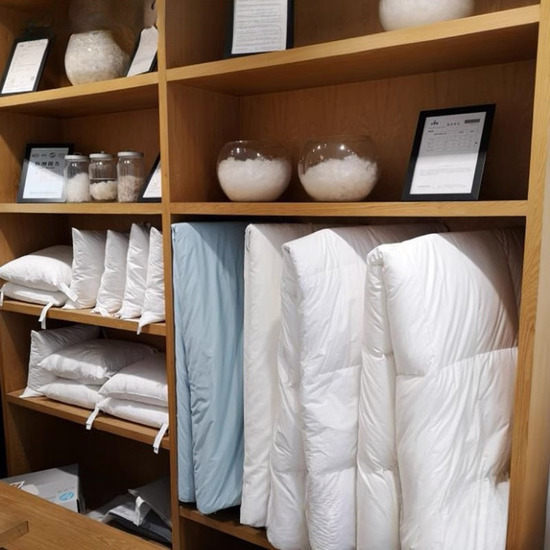 Export Five-Star Hotel down Quilt 95 White Goose down Quilt Winter Quilt Core Thickeneded Warm Spring & Fall Quilt Double