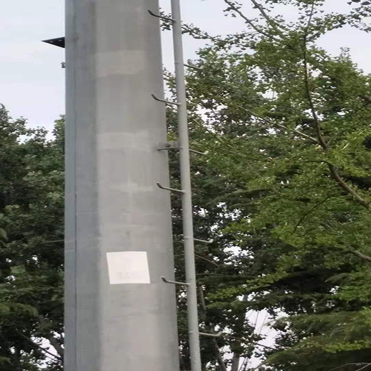 Xi'An Electric Power Construction Auxiliary Tools, Pole Climbing Ladders, Hot Galvanizing Welding Process, Please Contact Us for Details with Pictures