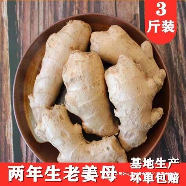 Fresh Ginger, Fresh Turmeric, Shandong Ginger, Air-Dried Ginger, Postpartum Ginger, Ginger Cubes, Fresh Dug Ginger, 2.5kg Free Shipping