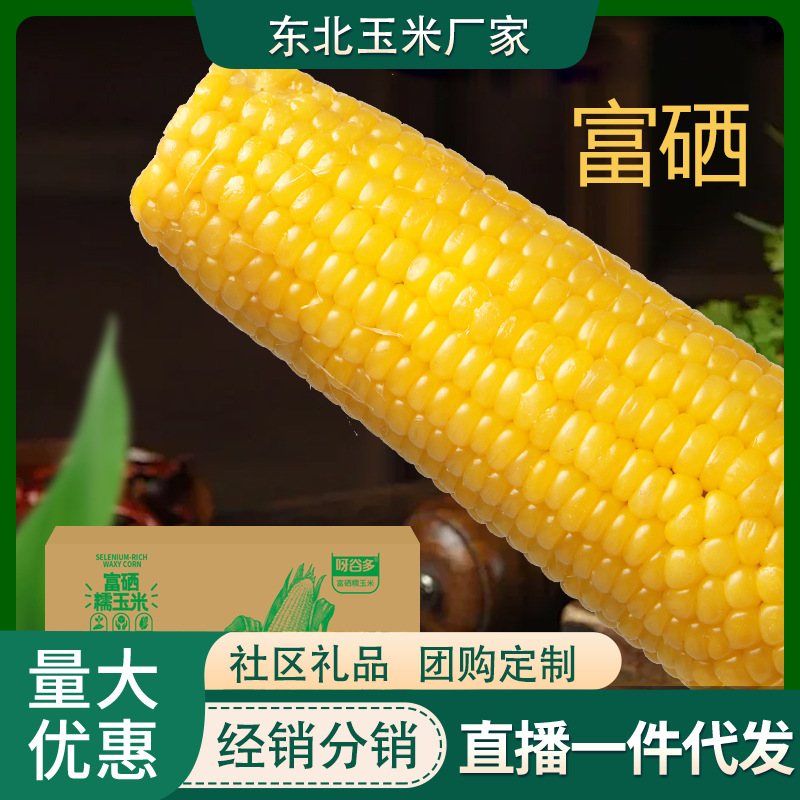 Селен-содержащая восковая кукуруза 10 упаковок 2.5кг свежая желтая восковая кукуруза в вакуумной упаковке с севера востока