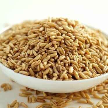 Low-Temperature Baked Oats, Cooked Whole Grains, Freshly Ground Soy Milk Ingredients Wholesale