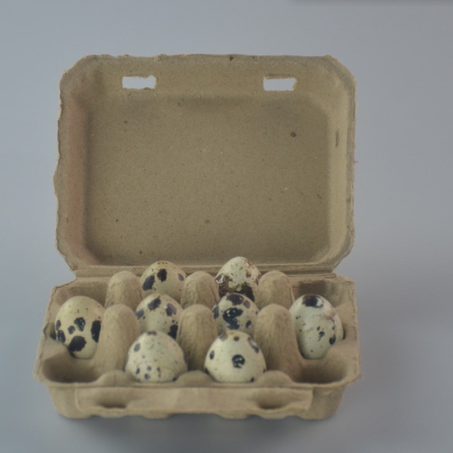 Box of 12 Quail Eggs, Shockproof Quail Egg Carton, Pulp Supply, Biodegradable Manufacturer