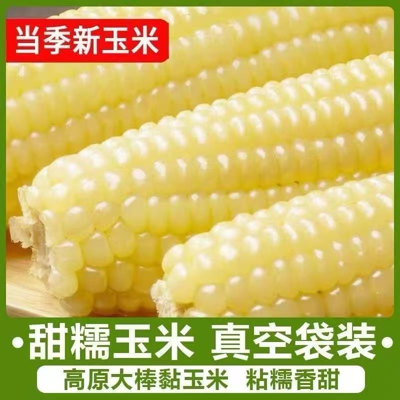 Северо-восточная сладкая кукуруза 220-300г белая восковая кукуруза мягкая восковая очищенная свежая вакуумная упаковка сладкая восковая кукуруза