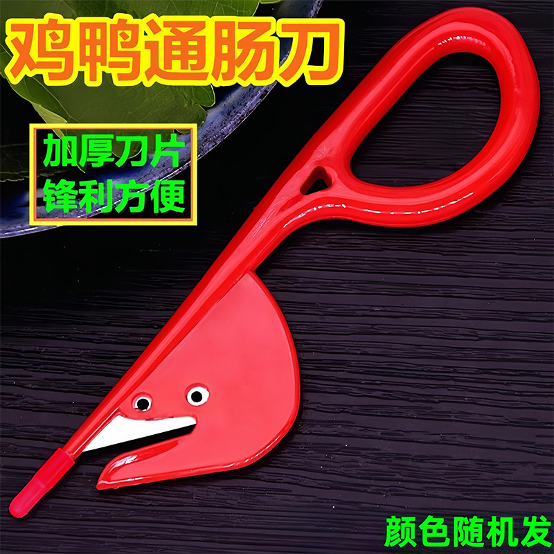 Fish Belly and Duck Intestine Knife, Fish Scale Scraper, Intestine Opener, Intestine Knife, Eel Killing Tool, Fish Killing Loach Knife Artifact
