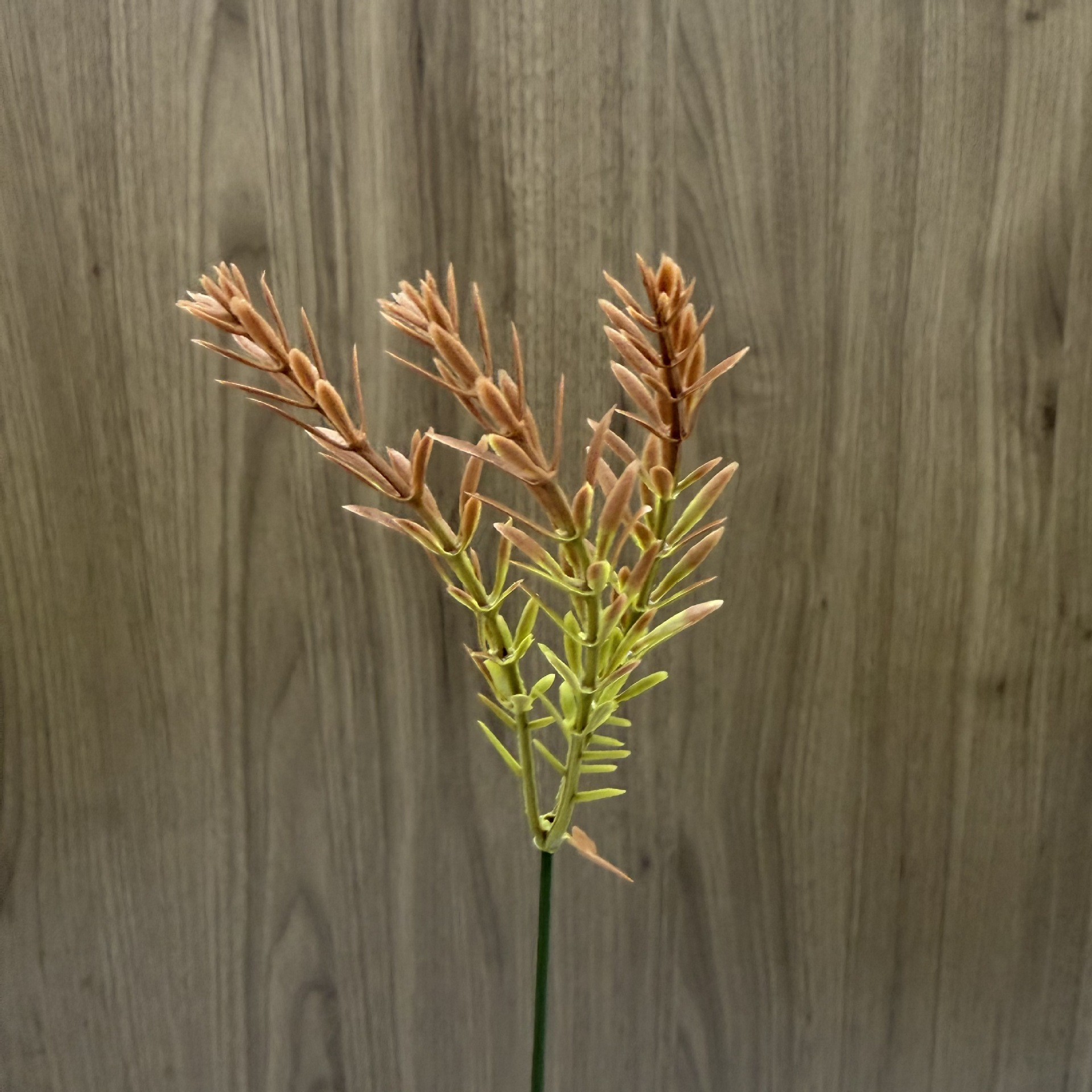 Cross-Border Supply of Eucalyptus Aquatic Plants, Flowers, Branches and Leaves, Plastic Flowers, Wholesale and Direct Sales