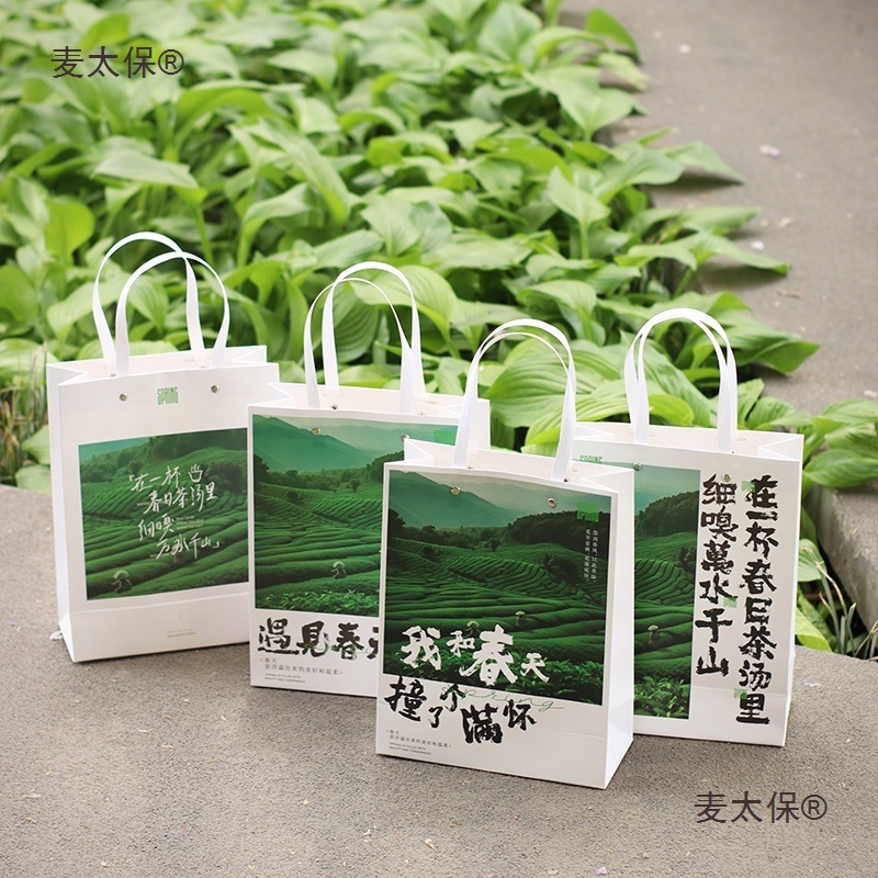 Spring Tea New Handbag Green Tea New Tea Packaging Bag Mingqian Longjing Biluochun Huangshan Maofeng Anji Metabo
