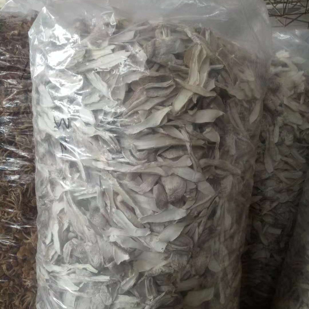 Gutian Manufacturer Direct Sales Fulian Chicken Leg Mushroom Edible Fungi Bulk Wholesale Chicken Leg Mushroom Dry Goods Shiitake Mushroom 500g