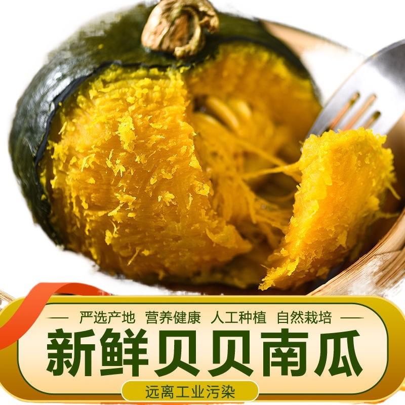 Authentic beibei chestnut pumpkin wholesale pregnant women baby food supplement fresh vegetables whole box wholesale beibei pumpkin