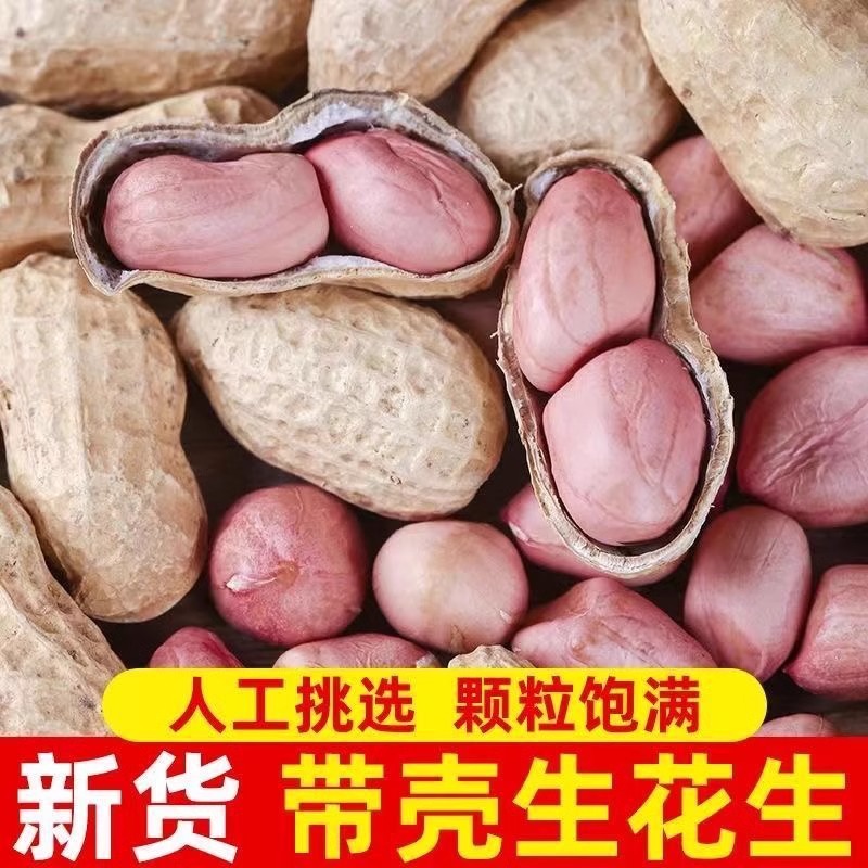 High-Quality Henan Red-Skinned Peanuts, New Goods, Shelled Large Fruits, Farmhouse Sun-Dried Peanut Seeds, Commercial Bulk Wholesale