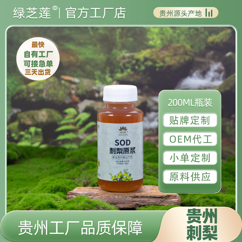 Индивидуальное OEM пюре из опунции в бутылках, оригинальный сок из Гуйчжоу, маленькая бутылка 200 мл с частным брендом, оригинальный вкус