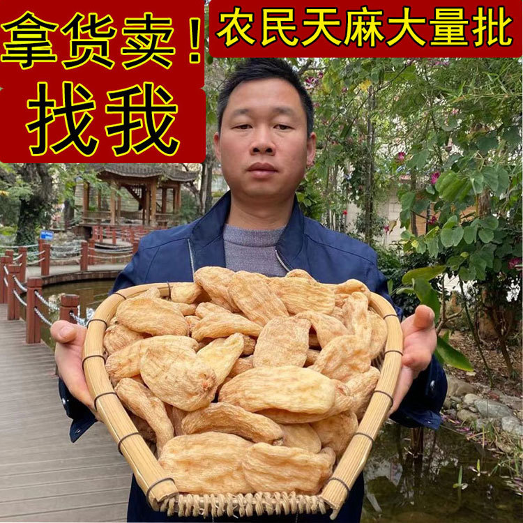 Оптовая продажа специальности Юньнань Тяньма, срезы и порошок Тяньма