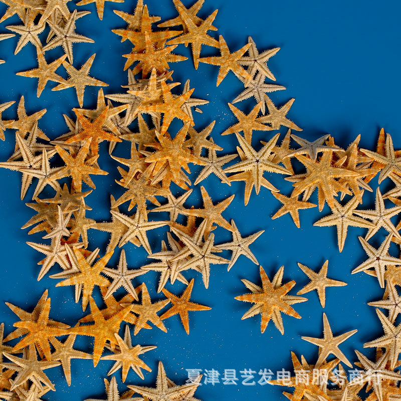 Натуральная морская звезда конха мини плоская морская звезда ручной работы текстурная фоторамка из кристального геля