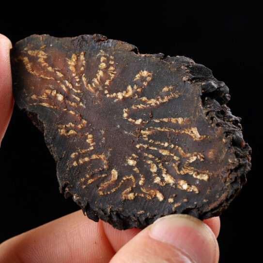 Alxa Cistanche Deserticola Official Flagship Store Inner Mongolia Wild Special Grade Chinese Herbal Medicine Genuine Whole Root Slices Powder Soaked in Wine