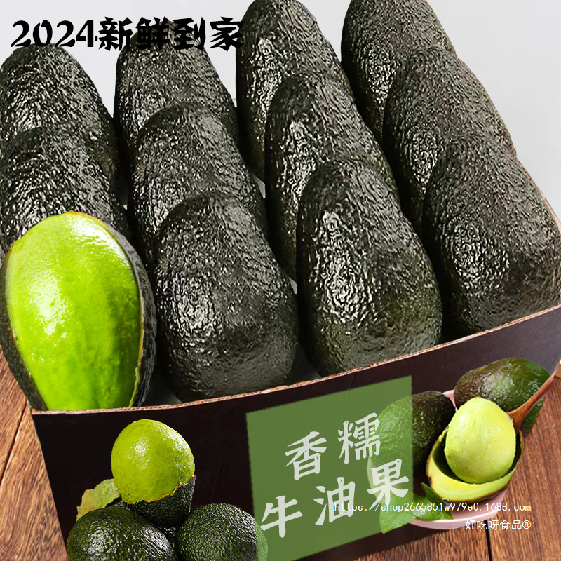 Юньнань авокадо джамбо фрукт сезонная целая коробка спелый готовый к употреблению лесной крем оптом