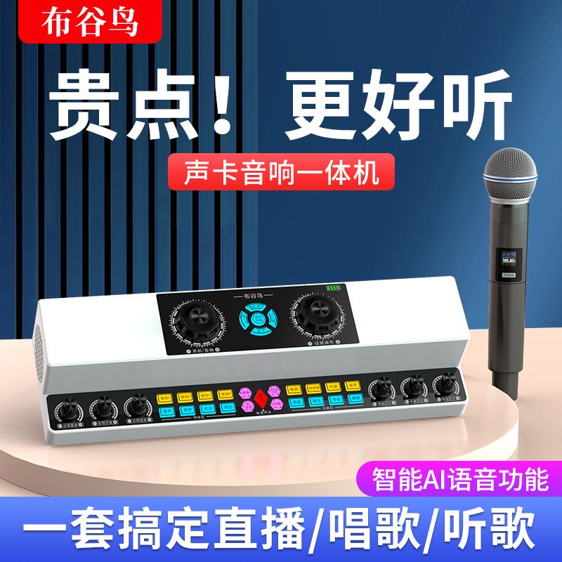 Cuckoo Y6 live singing sound card audio all-in-one machine indoor outdoor square dance karaoke wireless Bluetooth speaker