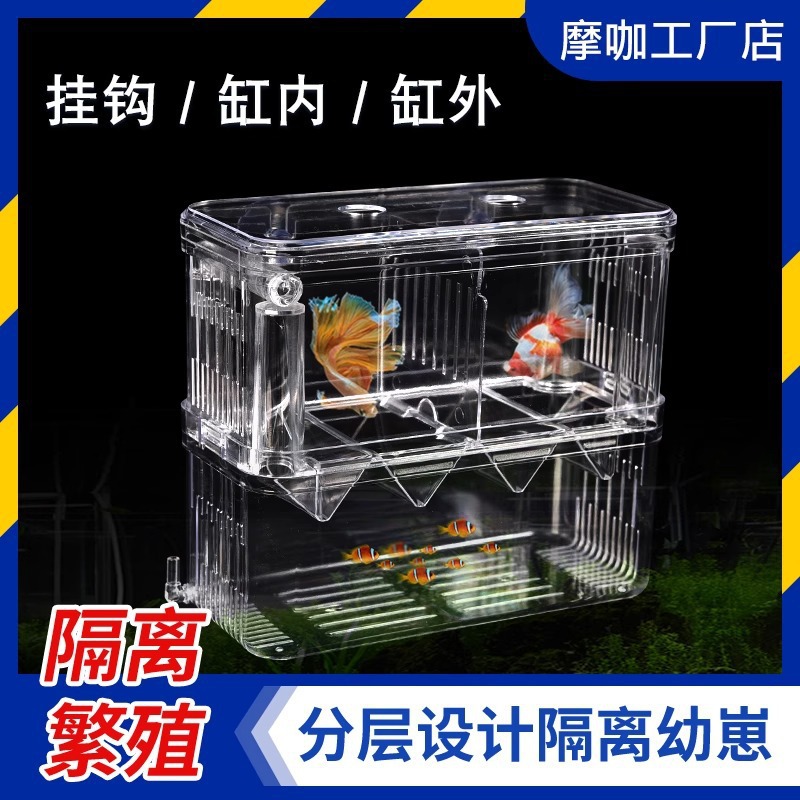 Fish Tank Hatching Box, Guppy Fish Isolation Box, Small Fish Tank, Fry, Small Fish Spawning Device, Aquarium Oxygenated Breeding Box