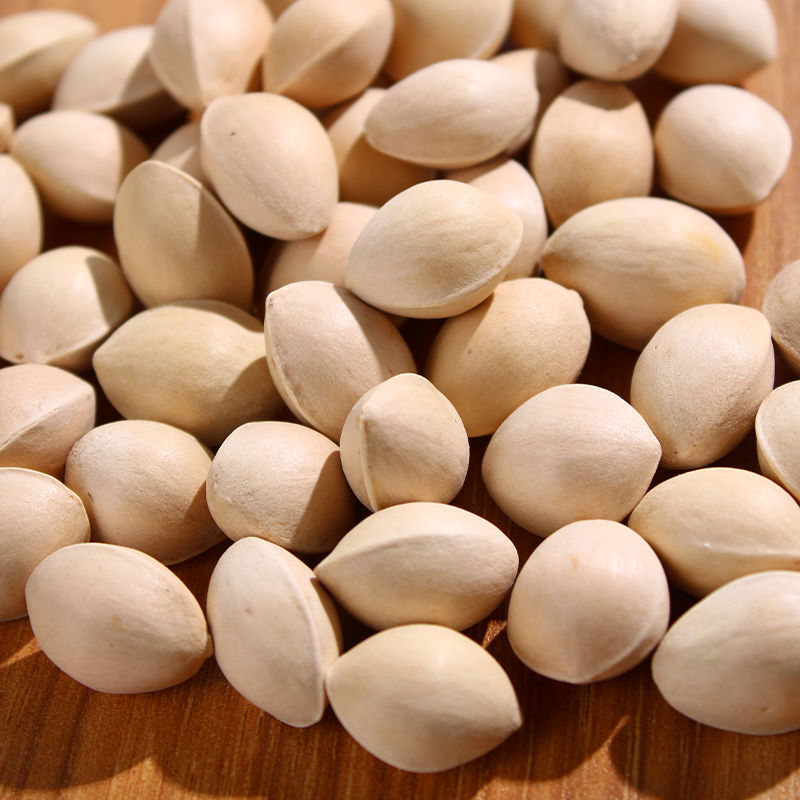 Selection of Fresh White Ginkgo Nuts with Shells, Raw White Kernels, No Bleaching, Wholesale from Xuzhou Pizhou