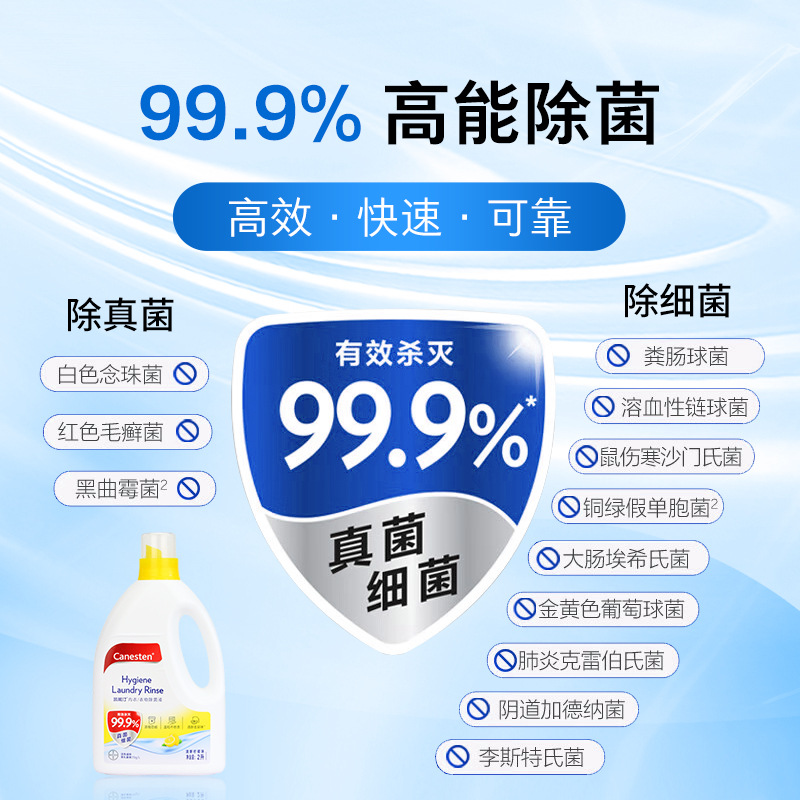 Germany Bayer Canesten kanetine clothing disinfection and sterilization liquid laundry special underwear sterilization 2L