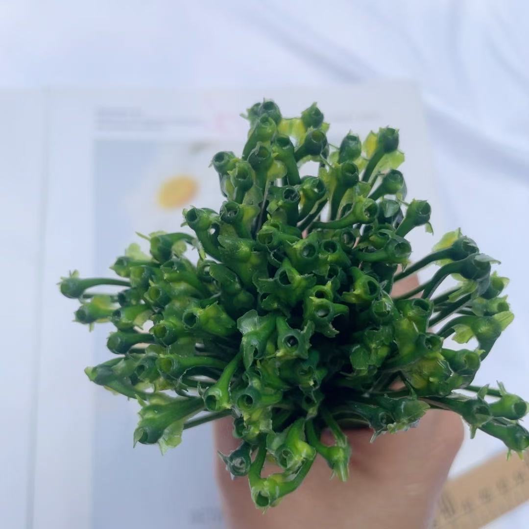 Plant Wall Green Artificial Flowers, Water Plants, Spring Grass, Flower Arrangement Accessories, Outdoor Scenery, Wedding Decoration, Soft Decoration Design